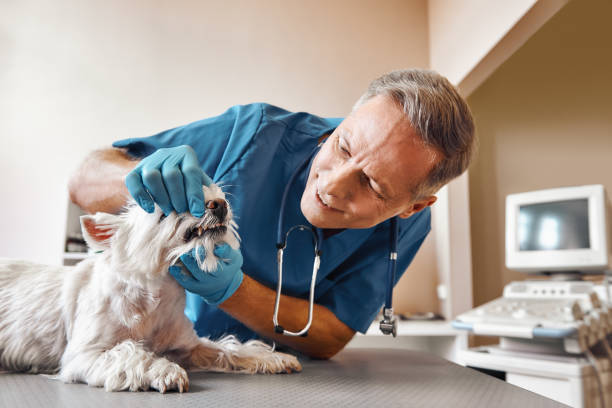 Best Emergency Dentist for Knocked-Out Tooth in Centre, AL
